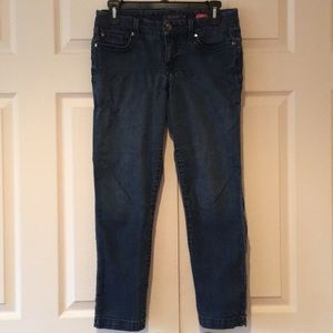 Anthropologie Level 99 Skinny Straight Blue Jean